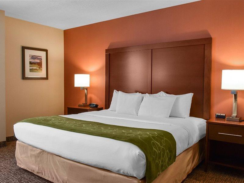 Comfort Suites Downtown Карлайл Экстерьер фото