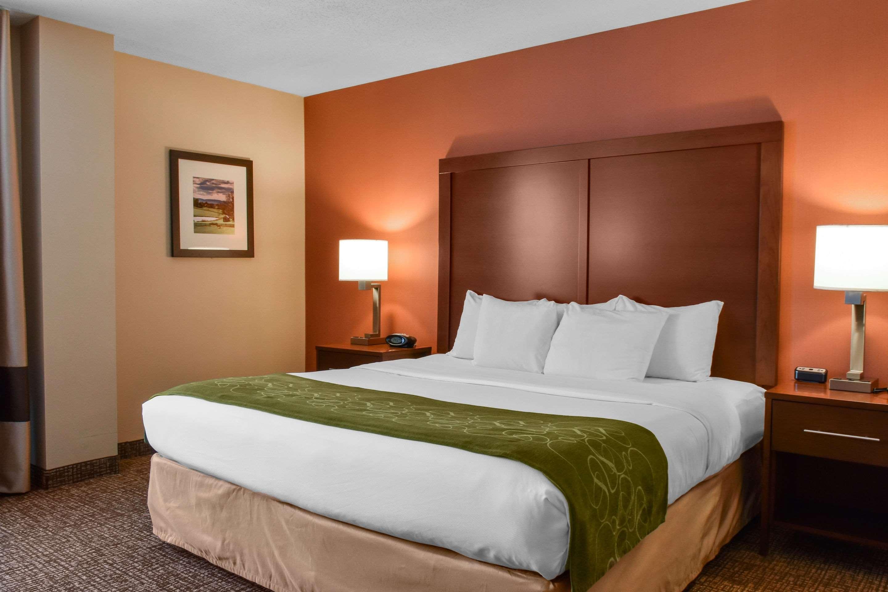 Comfort Suites Downtown Карлайл Экстерьер фото